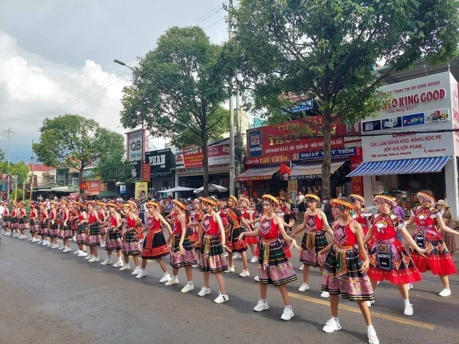 Các tiết mục trình diễn trên đường phố trong lễ hội sầu riêng. Ảnh: CTV