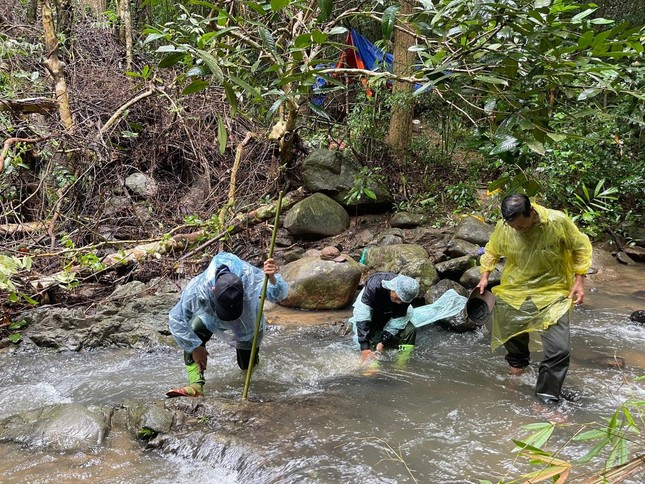 Để tiếp cận hiện trường, lực lượng chức năng của huyện Sa Thầy gặp rất nhiều khó khăn vì địa hình hiểm trở. Phải đi gần 4 giờ đồng hồ họ mới đến nơi xảy ra vụ khai thác lâm sản này.