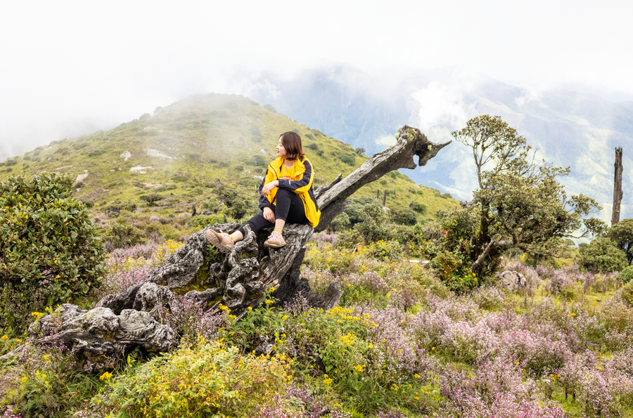 Ảnh: Nguyễn Anh Chiêm