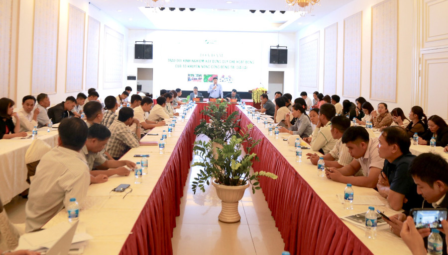 Quang cảnh buổi tọa đàm. Ảnh: Quang Thái