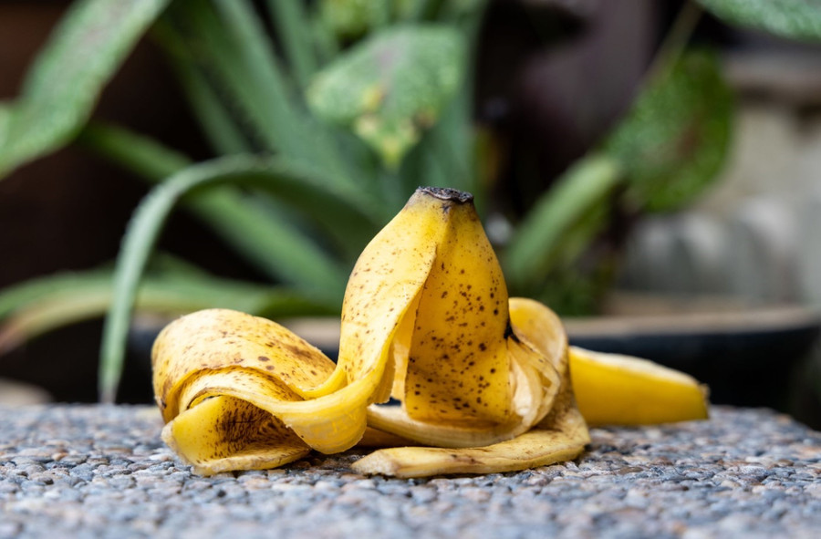 Vỏ chuối mang lại nhiều lợi ích bất ngờ trong cuộc sống thường ngày. Ảnh: Xinhua