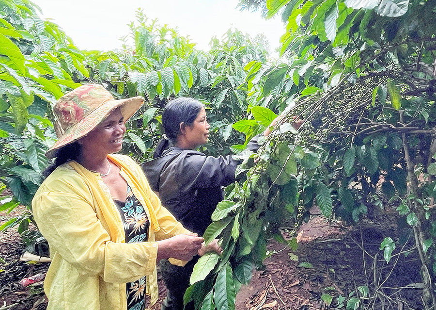  Bà Rơ Châm Răn (bìa trái) được chị em trong Chi hội Phụ nữ làng Lút (xã Ia Phí, huyện Chư Păh) đồng hành, hỗ trợ để vươn lên thoát nghèo. Ảnh: Minh Châu