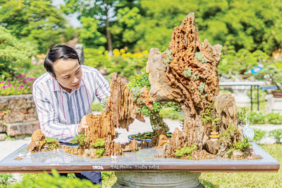 Hữu Duy với niềm đam mê bonsai, tiểu cảnh