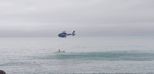 Ảnh minh họa. Nguồn: nzherald.co.nz