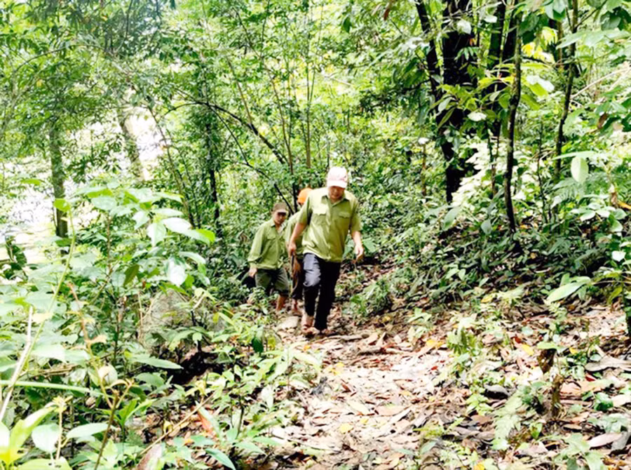 Nguồn điều phối từ Quỹ Trung ương góp phần đẩy nhanh tiến độ hoàn thành kế hoạch năm 2022 của Quỹ Gia Lai. Ảnh: Mộng Thường