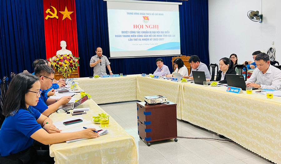 Bí thư Trung ương Đoàn Ngô Văn Cương: Đánh giá cao công tác chuẩn bị Đại hội của Tỉnh Đoàn ảnh 1 Quang cảnh hội nghị tại điểm cầu Tỉnh Đoàn Gia Lai. Ảnh: Phan Lài