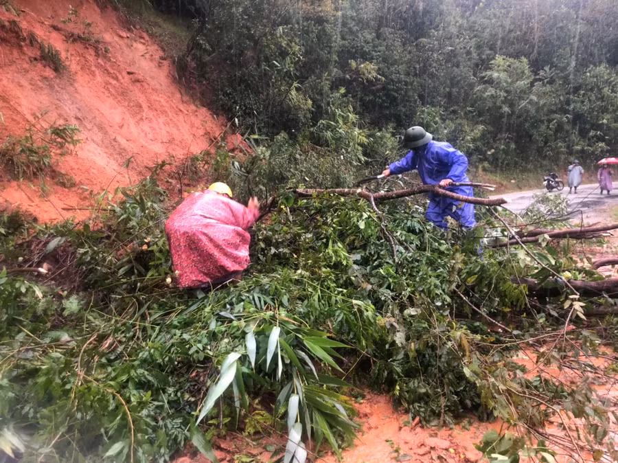 Lực lượng chức năng huyện Tu Mơ Rông khắc phục sự cố cây đổ. Ảnh: CTV