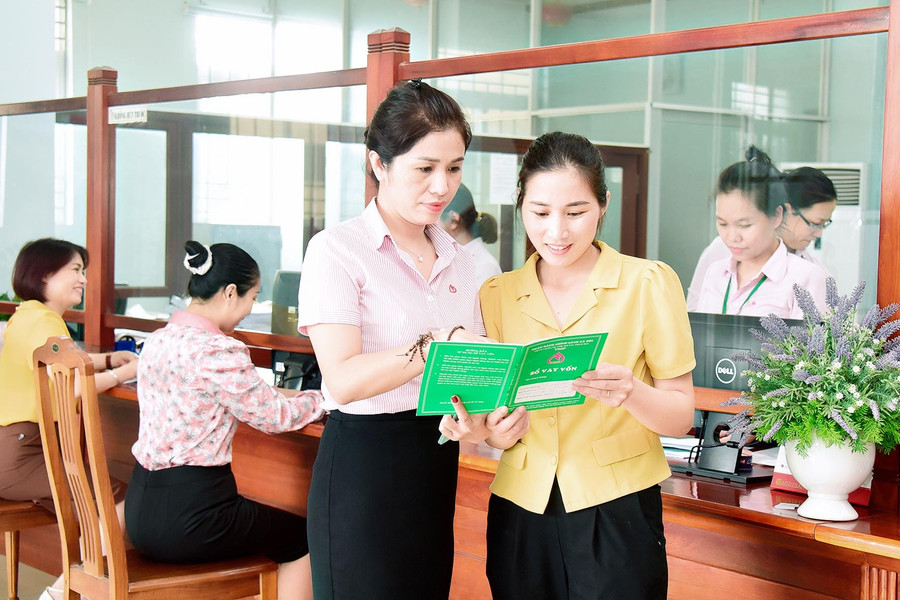 NHCSXH Chi nhánh tỉnh Gia Lai là một trong số Chi nhánh top đầu của hệ thống NHCSXH Việt Nam. Ảnh: Đức Thụy