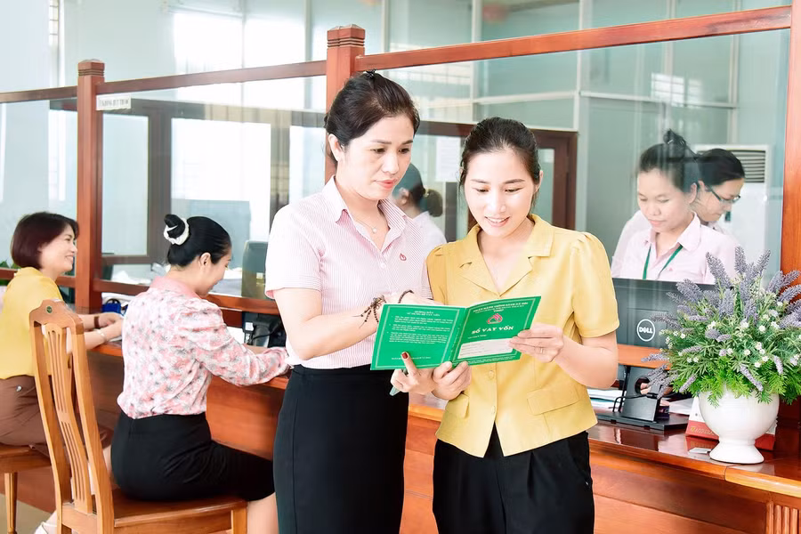 NHCSXH Chi nhánh tỉnh Gia Lai là một trong số Chi nhánh top đầu của hệ thống NHCSXH Việt Nam. Ảnh: Đức Thụy