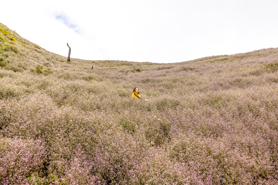 Ảnh: Nguyễn Anh Chiêm