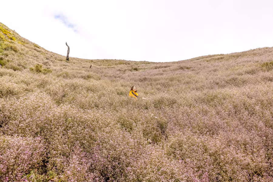 Ảnh: Nguyễn Anh Chiêm