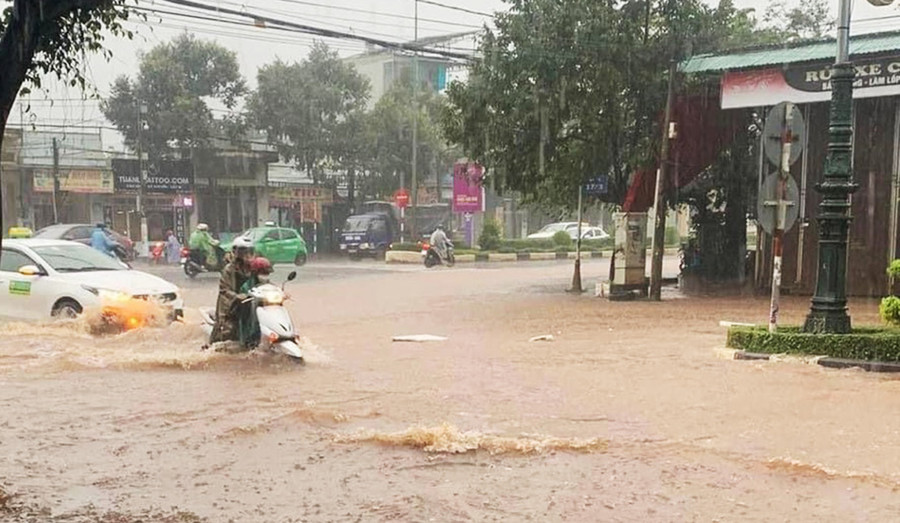 Tỉnh Gia Lai cho học sinh nghỉ học từ ngày... để phòng-chống, ứng phó với bão số 4