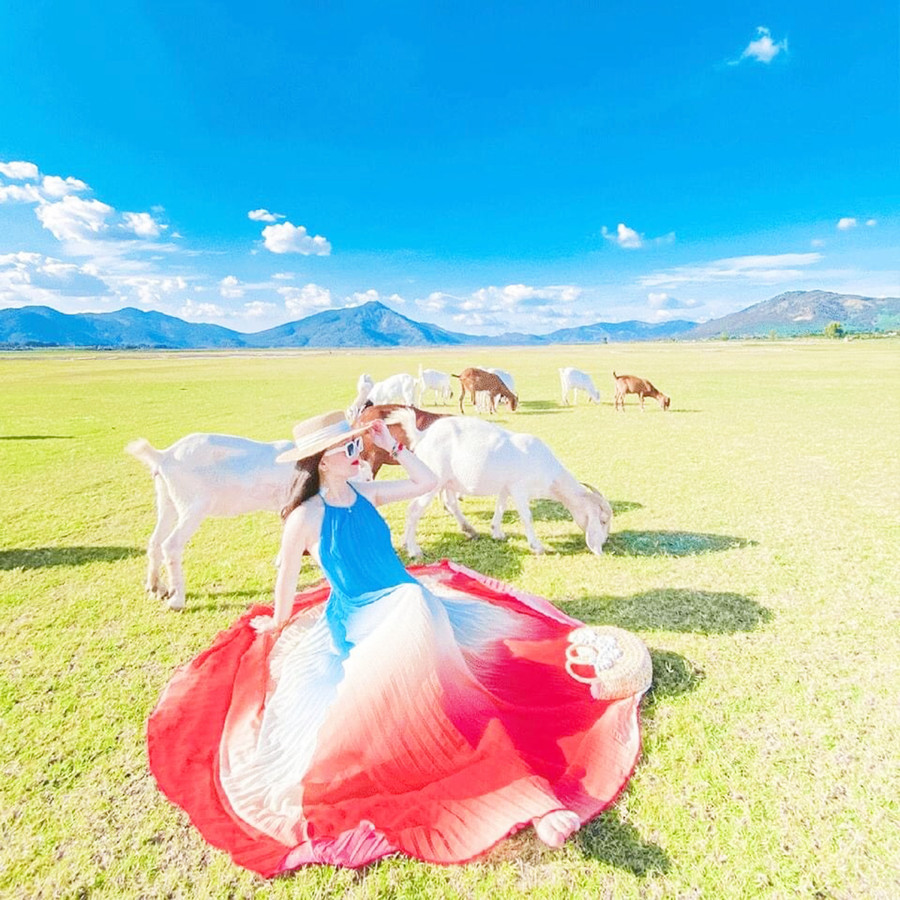 Du khách chụp hình ở bãi dê thôn Tiên Sơn 1, xã Tân Sơn, TP. Pleiku. Ảnh: Mai Ka Du khách chụp hình ở bãi dê thôn Tiên Sơn 1, xã Tân Sơn, TP. Pleiku. Ảnh: Mai Ka