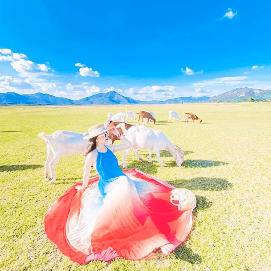 Du khách chụp hình ở bãi dê thôn Tiên Sơn 1, xã Tân Sơn, TP. Pleiku. Ảnh: Mai Ka