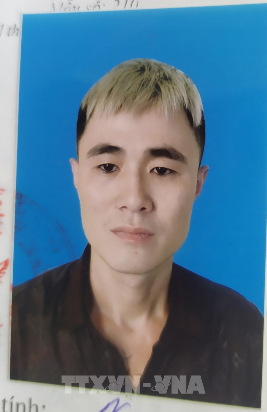 Đối tượng Nguyễn Văn Trường (sinh năm 1990, trú tại huyện An Lão, thành phố Hải Phòng). Ảnh: TTXVN phát