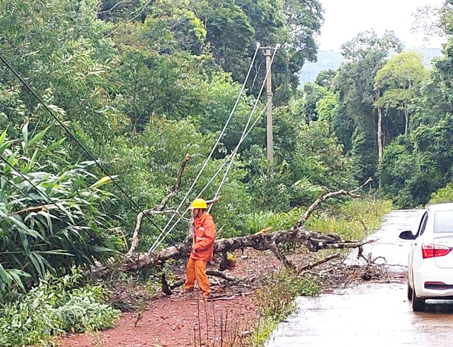 -Ngành Điện Gia Lai kịp thời kiểm tra để khắc phục sự cố lưới điện ở huyện Kbang. Ảnh: Hà Duy