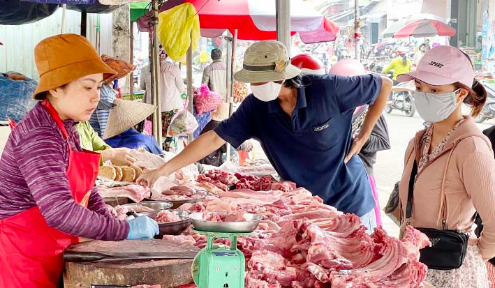 Giá heo hơi giảm tại nhiều địa phương. Ảnh: Vũ Thảo