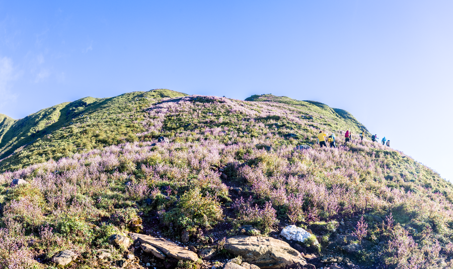 Ảnh: Nguyễn Anh Chiêm