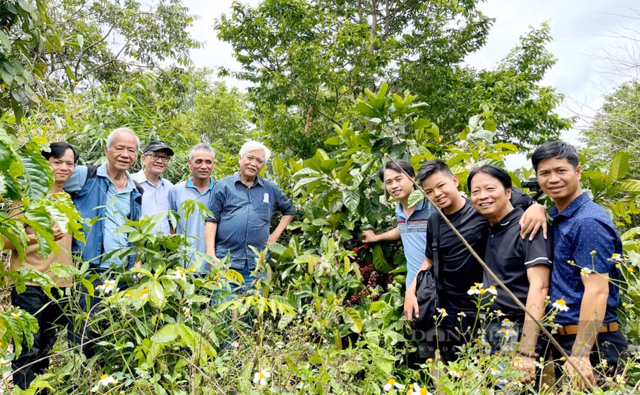 TS Nguyễn Văn Lạng là người đã có nhiều gắn bó với nền nông nghiệp tỉnh nhà, cũng là một trong những người có nhiều 