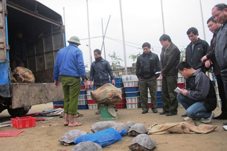 Cơ quan chức năng đang kiểm kê số động vật hoang dã. Cơ quan chức năng đang kiểm kê số động vật hoang dã.