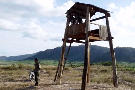 Chòi canh rẫy mía của đội PCCC mía xã Ia Sol, huyện Phú Thiện. Ảnh: Thanh Luận