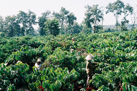 Ảnh minh họa Ảnh minh họa