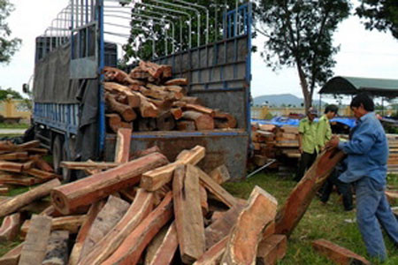 Truy đuổi 100 km bắt giữ một xe ôtô chở gỗ lậu ảnh 1 Một xe ôtô chở gỗ lậu bị phát hiện.