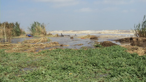 Gió mùa đông bắc thổi mạnh kết hợp triều cường dâng cao đã làm sạt lở nhiều đoạn bờ biển tại các xã Trường Long Hòa, Hiệp Thạnh và Dân Thành, huyện Duyên Hải 