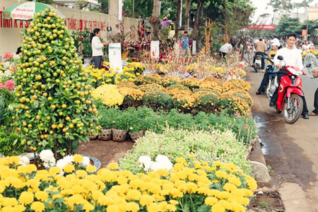 Ảnh: Thanh Nhật Ảnh: Thanh Nhật