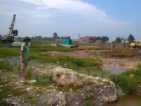 Ảnh minh họa