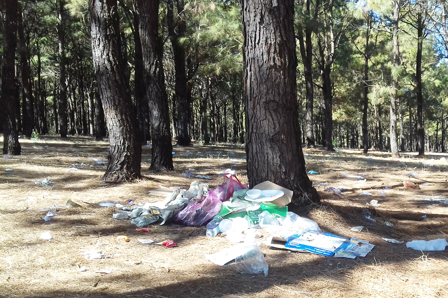 Rừng phòng hộ tại xã Ia Dêr tràn ngập rác thải. Ảnh: N.N Rừng phòng hộ tại xã Ia Dêr tràn ngập rác thải. Ảnh: N.N