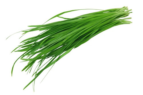 Cây hẹ. Cây hẹ.
