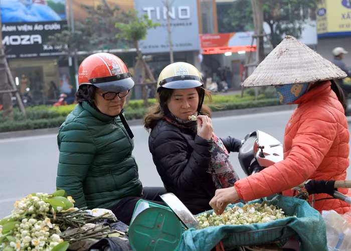 Không giống như các loài hoa khác được bán theo bó, theo bông. Hoa bưởi được bán theo lạng với giá thành không phải rẻ. 4