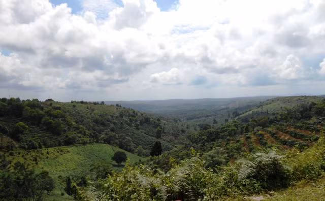 Nằm ở vị trí trung tâm tỉnh, cao nguyên rộng lớn chạy dài từ Bắc xuống Nam trên 90 km, từ Đông sang Tây 70 km. Nằm ở vị trí trung tâm tỉnh, cao nguyên rộng lớn chạy dài từ Bắc xuống Nam trên 90 km, từ Đông sang Tây 70 km.