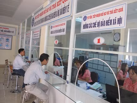 Ảnh minh họa (Internet).