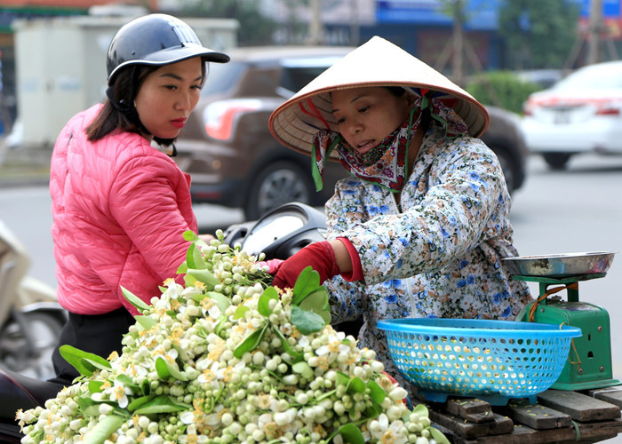 Chị Hương (quê Hưng Yên) làm nghề bán hoa quả tại Hà Nội vào những ngày này chuyển sang bán hoa bưởi rong trên phố Xã Đàn, chị cho biết: 