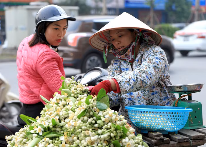 Chị Hương (quê Hưng Yên) làm nghề bán hoa quả tại Hà Nội vào những ngày này chuyển sang bán hoa bưởi rong trên phố Xã Đàn, chị cho biết: "Tôi bán hoa ở đây cũng 3 mùa rồi, cứ đến mùa hoa là đi bán, hoa bưởi được bán với giá khoảng 30.000 đồng/ 1 lạng. Mọi năm bán được nhiều hoa hơn năm nay, vài ngày nay bắt đầu đi bán hoa bưởi nhưng mỗi ngày cũng chỉ độ 5 đến 7 cân". Chị Hương (quê Hưng Yên) làm nghề bán hoa quả tại Hà Nội vào những ngày này chuyển sang bán hoa bưởi rong trên phố Xã Đàn, chị cho biết: