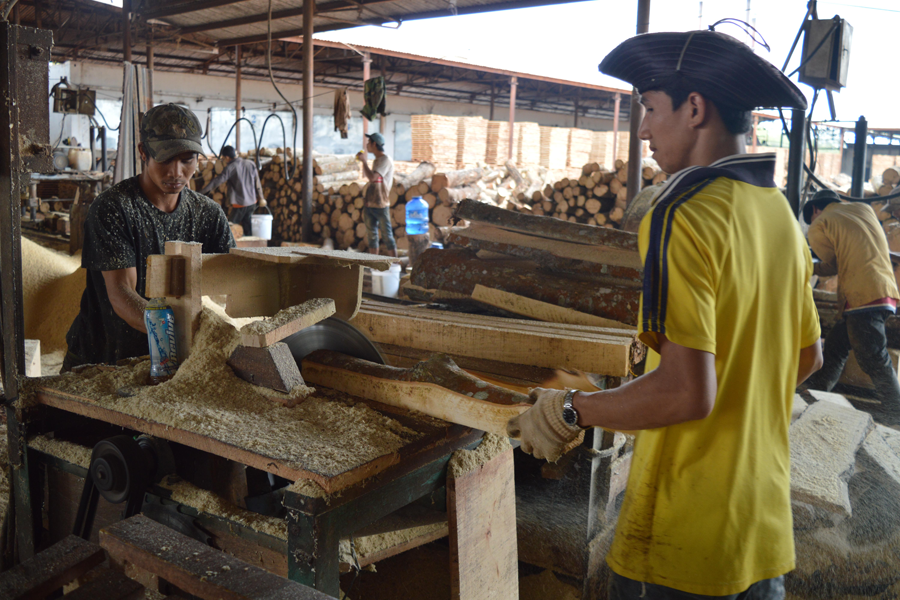 Lao động làm việc tại nhà máy gỗ cao su. Ảnh. Đ.Y