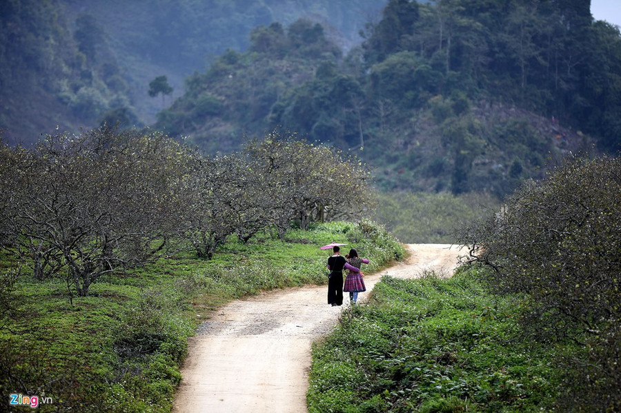 ... hay những đôi trai gái vừa qua tuổi dậy thì hẹn hò trên con đường vào bản tạo nên cảnh sắc thi vị, đầy sức sống. 17