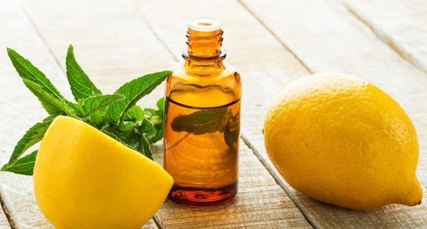 Sử dụng tinh dầu chanh và bạch đàn chính là những mẹo nhỏ giúp gia đình bạn tránh xa lũ muỗi đáng ghét Sử dụng tinh dầu chanh và bạch đàn chính là những mẹo nhỏ giúp gia đình bạn tránh xa lũ muỗi đáng ghét