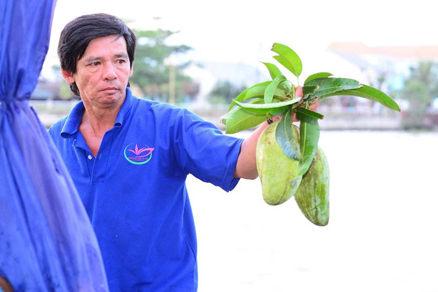 Giới thiệu trái cây cho du khách Ảnh: Minh Thi Ảnh: Minh Thi