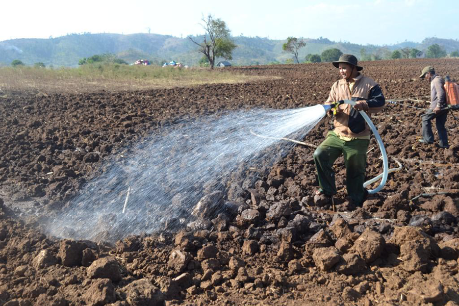 Người dân chuẩn bị đất sẵn sàng cho xuống giống rau trên đất lúa thường xuyên bị hạn. Ảnh: L.N Người dân chuẩn bị đất sẵn sàng cho xuống giống rau trên đất lúa thường xuyên bị hạn. Ảnh: L.N