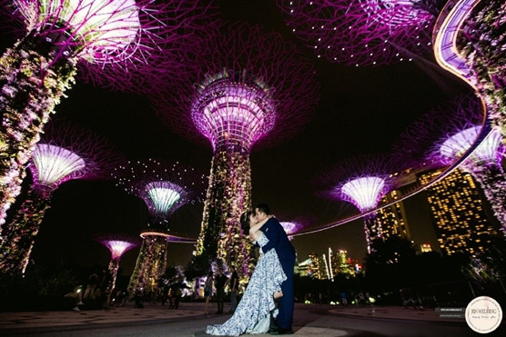 Hiện tại cả Mr Smile & Ms LyLy đều là giáo viên dạy tiếng Anh. Bên cạnh đó, Mr Smile còn tham gia kinh doanh trong nhiều lĩnh vực khác.