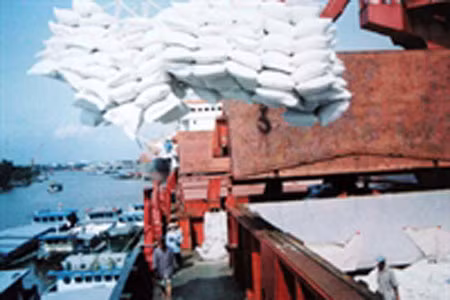 Việt Nam trúng thầu 200.000 tấn gạo xuất sang Cuba ảnh 1