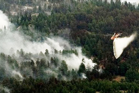 Nhiều máy bay đã được huy động dập tắt đám cháy