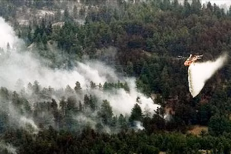 Nhiều máy bay đã được huy động dập tắt đám cháy