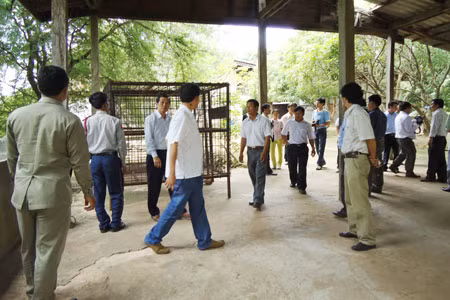 Khách đến tham quan nhà của Tamok. Ảnh: T.S