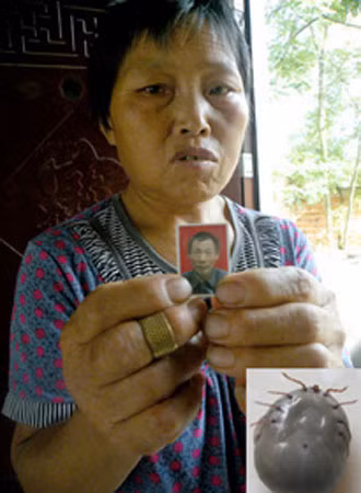 Vợ nạn nhân Bao Tường Nghĩa cầm di ảnh chồng, góc dưới là ảnh loài bọ đã chích chết ông Bao