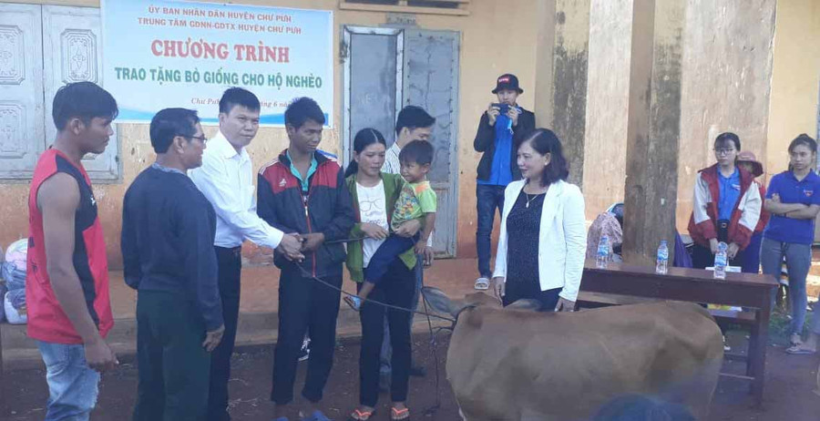 Việc tặng bò giống nhằm giúp hộ Ksor H'Thơm có điều kiện vươn lên thoát nghèo. Ảnh: Hồng Thương