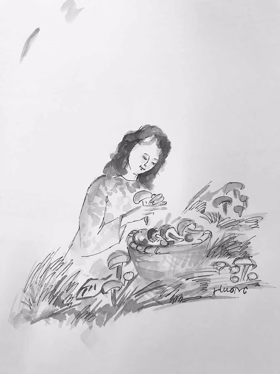  Minh họa: KIM HƯƠNG